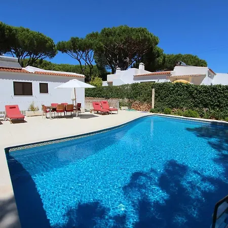 Violeta 51 - Clever Details Willa *