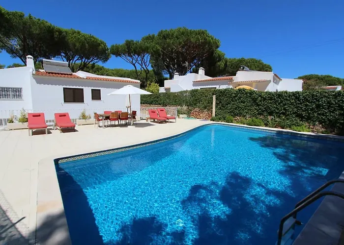 Violeta 51 - Clever Details Willa *