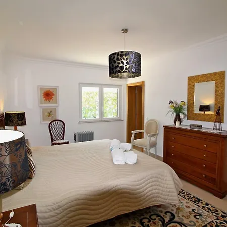 Violeta 51 - Clever Details *